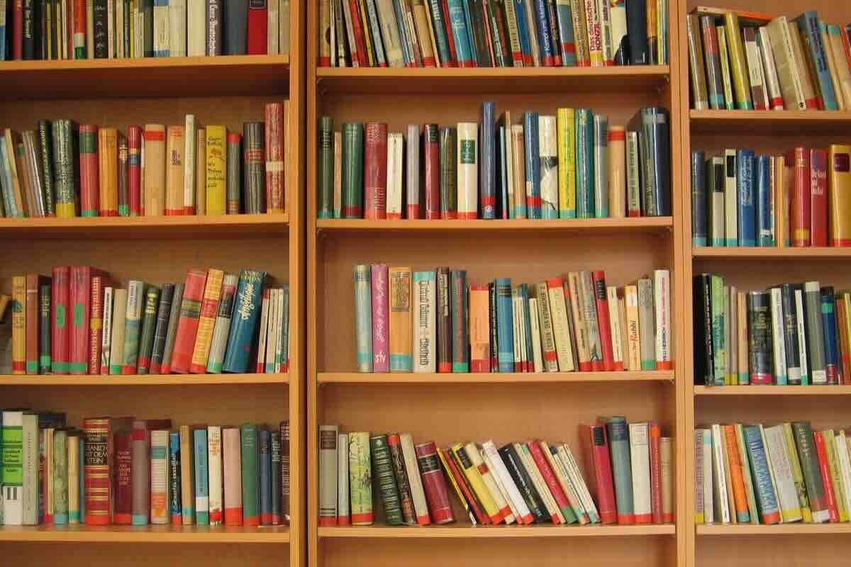 Scaffali libreria in legno con tanti libri diversi