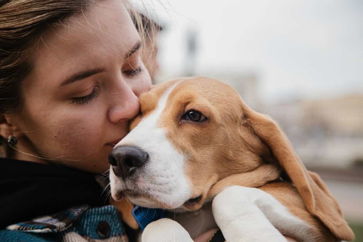 Ricchissimo bonus per gli animali domestici: ecco come richiederlo ed avere direttamente i soldi