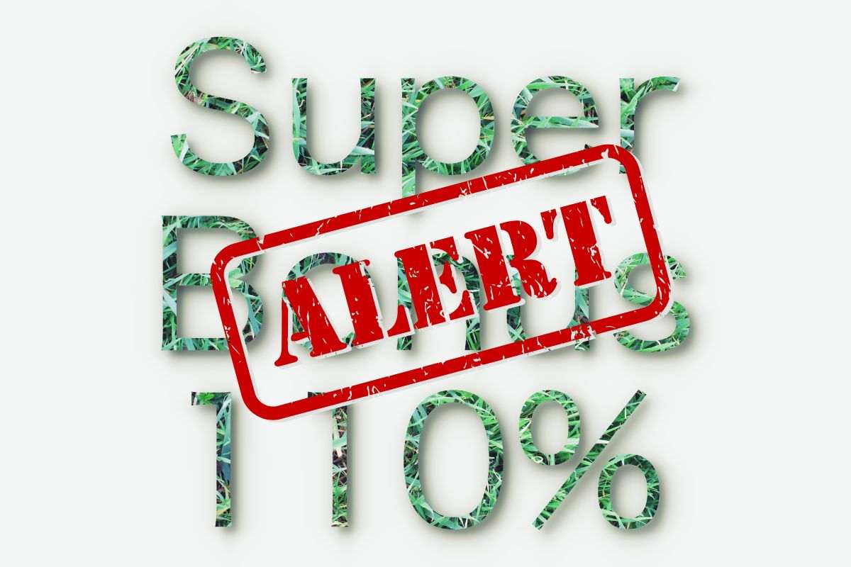 scritta superbonus 110% e alert