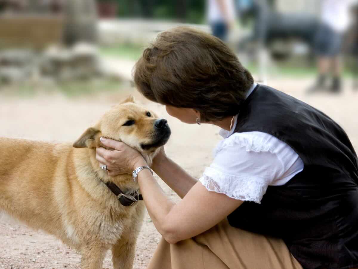 La rivelazione degli psicologi: ecco cosa significa quando parli al cane come se fosse umano